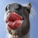 Delicja Gorzka Profile Picture