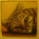 jan gorczyński Profile Picture